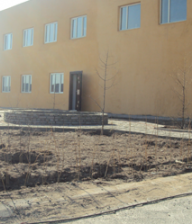 Манай цахим хуудсанд тавтай морилно уу